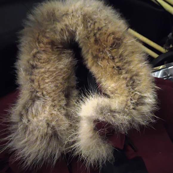 Canada Goose Women's Burgundy Jacket - Picture 3 of 12